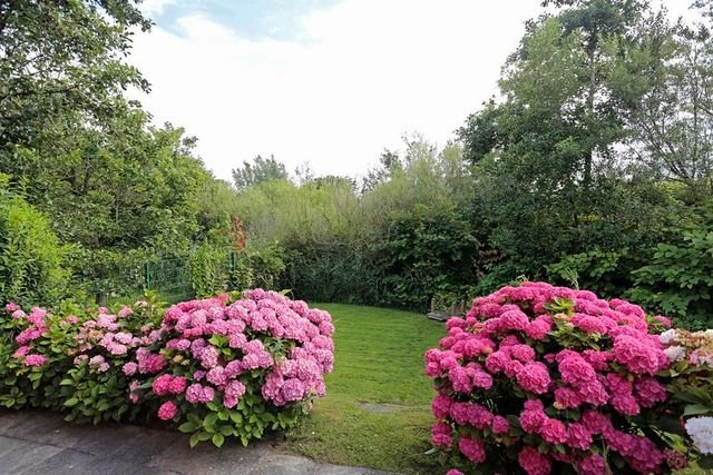 Reizvolles Ferienhaus am alten Deich - Garten